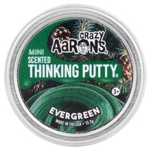 Evergreen | MINI
